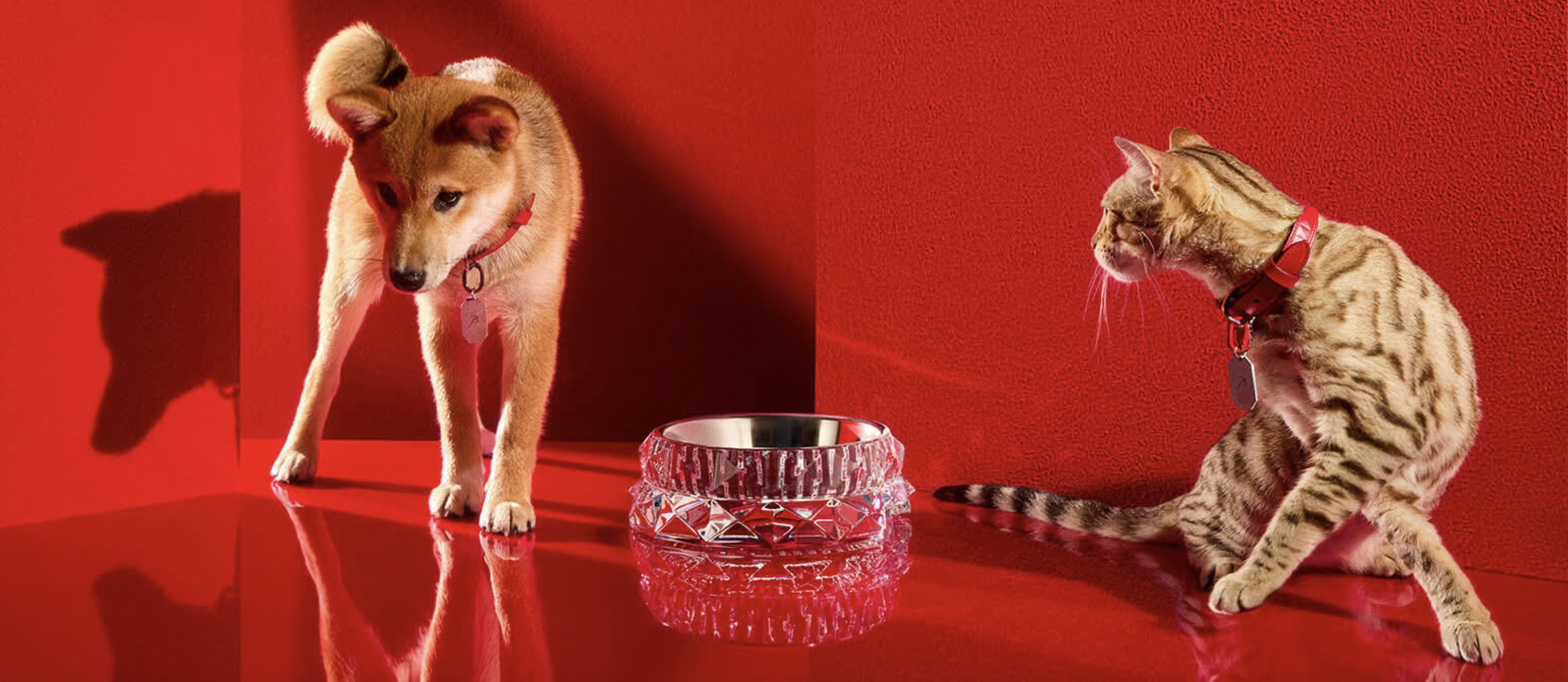 Featured image for “Baccarat launches a Pet Collection!”